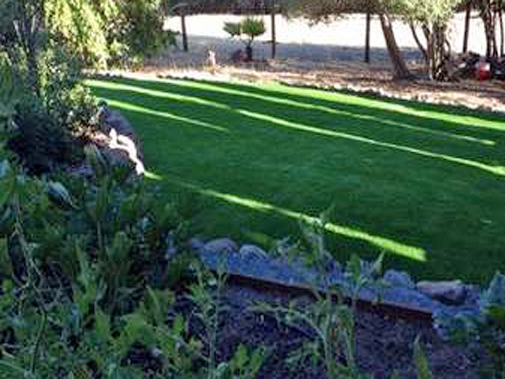 Synthetic Turf Supplier Ballico, California Lawn And Garden, Beautiful Backyards