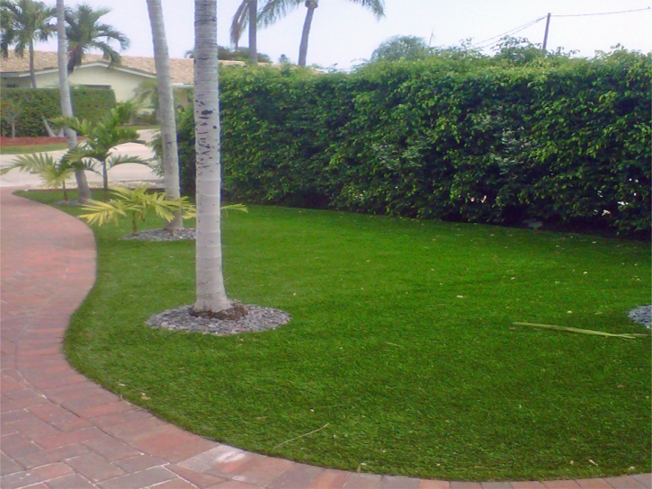 Synthetic Turf Supplier Cressey, California Backyard Playground, Front Yard Landscaping Ideas