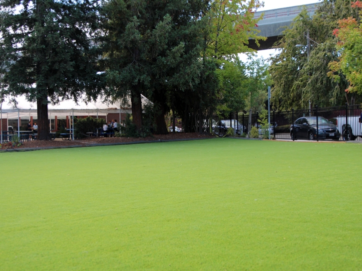 Synthetic Turf Supplier Dos Palos, California Gardeners, Commercial Landscape