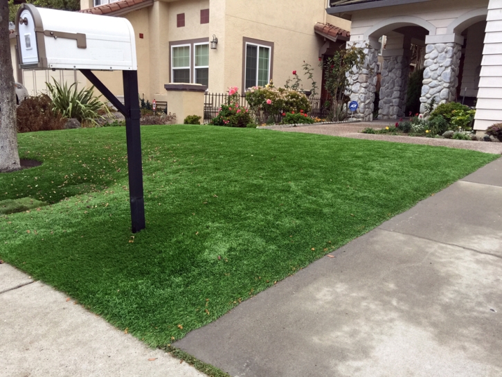 Synthetic Turf Supplier Livingston, California Backyard Playground, Front Yard Landscaping Ideas