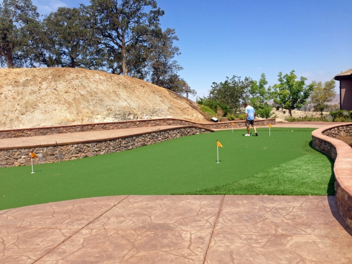 Synthetic Turf Supplier Merced, California Rooftop, Backyard Garden Ideas