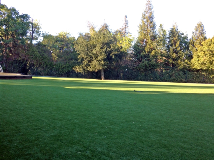 Synthetic Turf Supplier Merced, California Backyard Playground, Parks