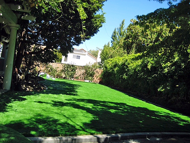 Synthetic Turf Supplier Planada, California Landscape Rock, Backyard Makeover