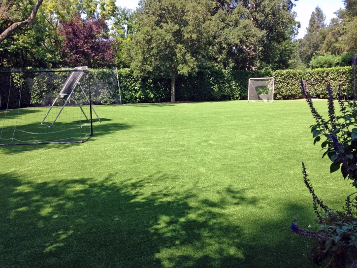 Synthetic Turf Supplier Tuttle, California Paver Patio, Backyard