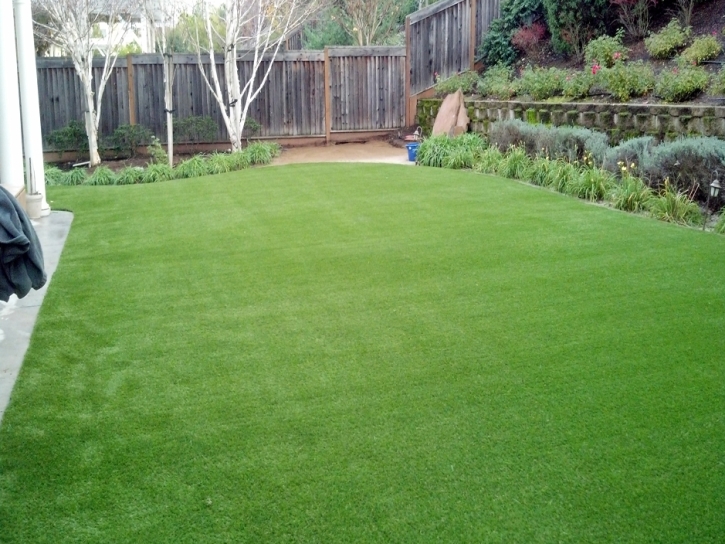 Synthetic Turf Supplier Volta, California Roof Top, Backyard Makeover