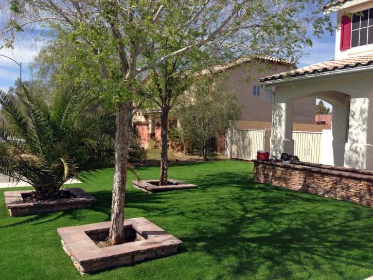 Synthetic Turf Winton, California Landscape Ideas, Front Yard