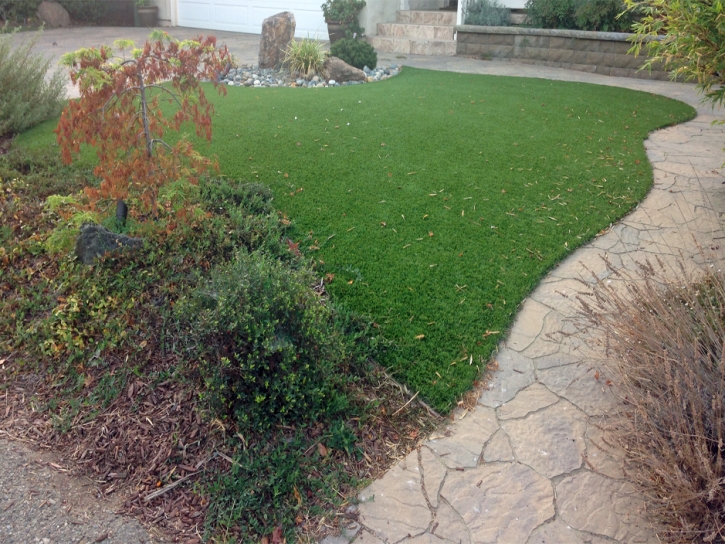 Turf Grass Atwater, California Artificial Turf For Dogs, Backyard Landscaping Ideas