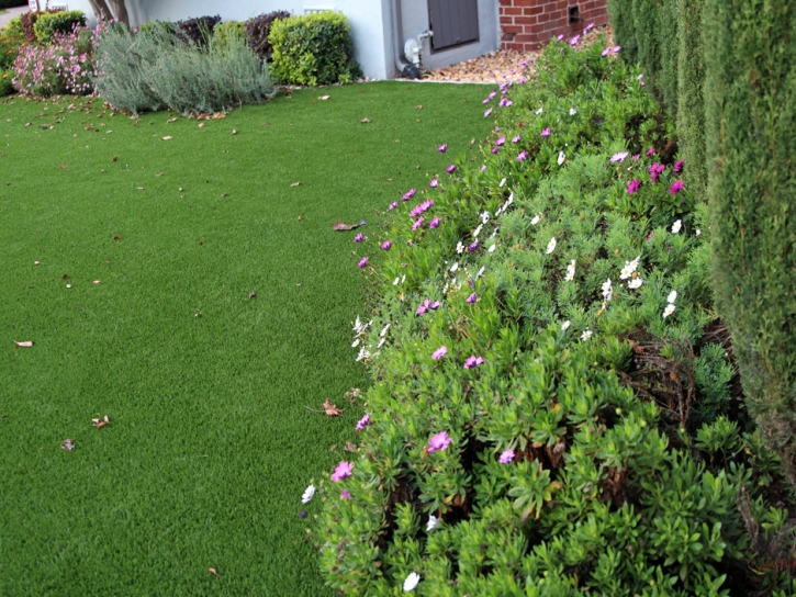 Turf Grass Atwater, California Lawns, Front Yard Ideas