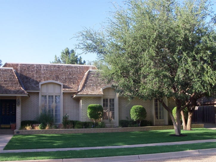 Turf Grass Delhi, California Home And Garden, Front Yard Ideas