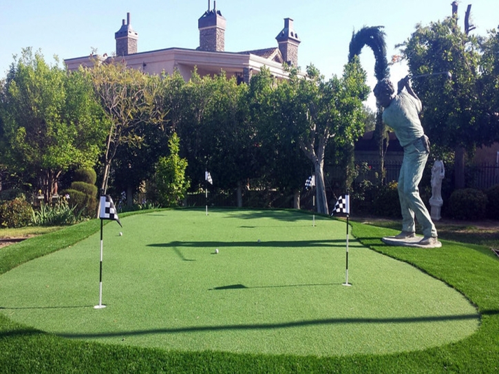 Turf Grass El Nido, California Home Putting Green, Backyard Landscaping Ideas