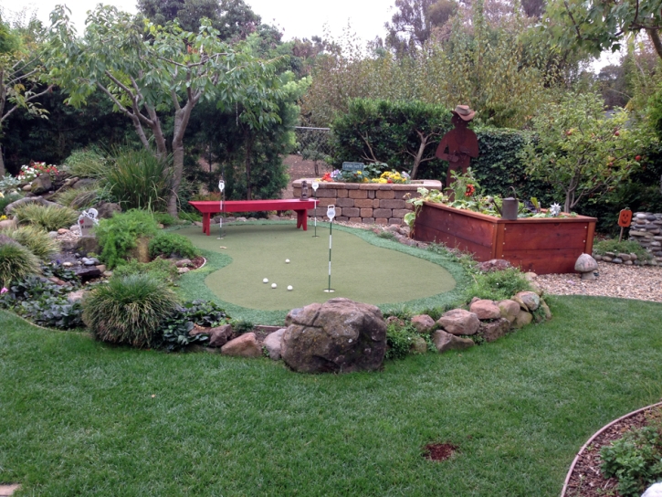 Turf Grass Hilmar-Irwin, California Lawn And Garden, Backyard Landscaping