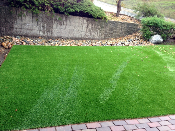 Turf Grass Le Grand, California City Landscape, Backyard Garden Ideas