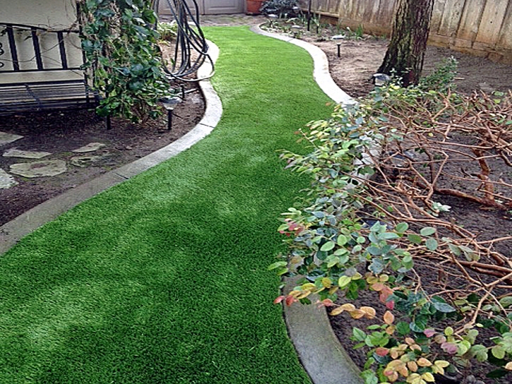 Turf Grass Le Grand, California Landscape Photos, Backyard Landscape Ideas