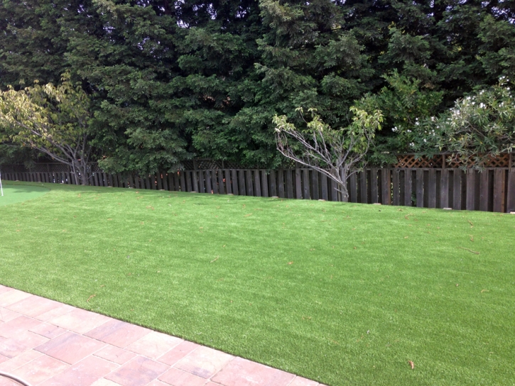 Turf Grass Le Grand, California Landscaping Business, Beautiful Backyards