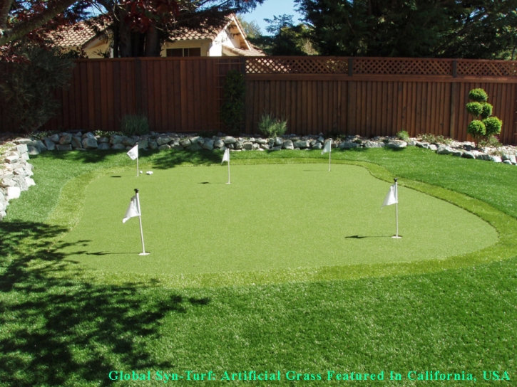 Turf Grass Livingston, California Best Indoor Putting Green, Backyard Designs