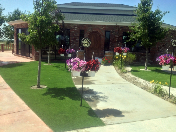 Turf Grass Tuttle, California Landscape Ideas, Commercial Landscape