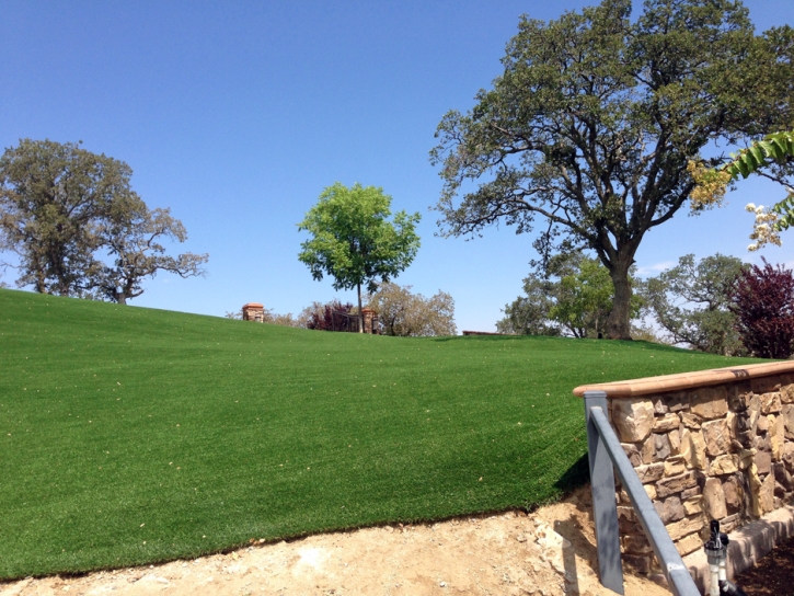 Turf Grass Tuttle, California Landscape Photos, Front Yard Ideas